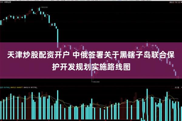 天津炒股配资开户 中俄签署关于黑瞎子岛联合保护开发规划实施路线图